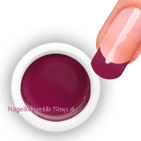 Farbgel Fuchsia 5g/4,34ml