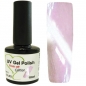 Preview: Shellac Silber-Rose