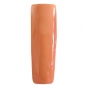 Preview: UV gel nail polish 3in1