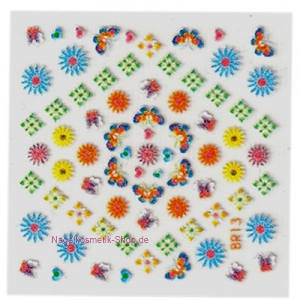 Nagelsticker BR 13