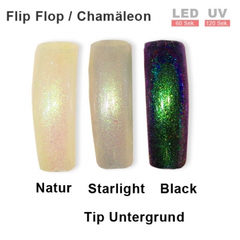 Shellac grün lila Chamäleon