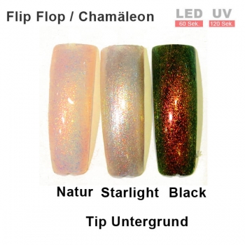 Chamäleon Shellac green red