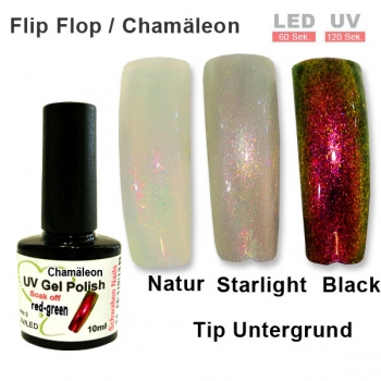 Chamäleon Shellac red green