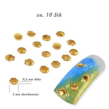 3D Muscheln klein