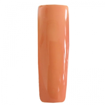 UV gel nail polish 3in1