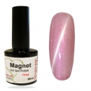 Magnet UV Gel Polish rose